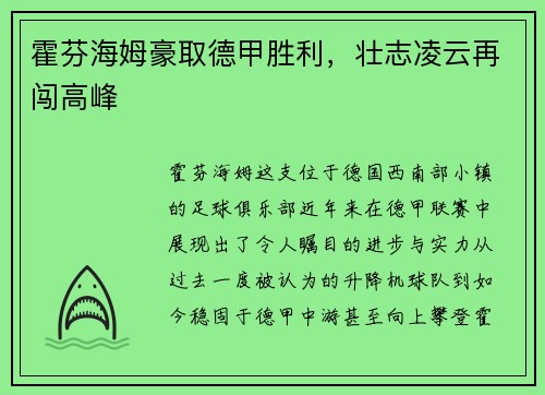 霍芬海姆豪取德甲胜利，壮志凌云再闯高峰