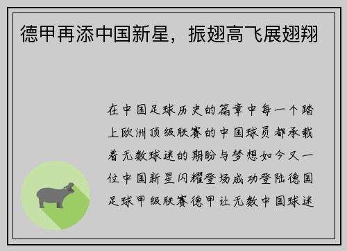 德甲再添中国新星，振翅高飞展翅翔